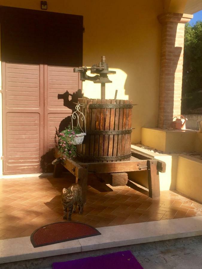 Ferienwohnung Il Girasole Castel Ritaldi Exterior foto